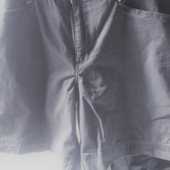 Lee Platinum Label Gray Shorts Size 16 Cotton/Spandex - Picture 9 of 10